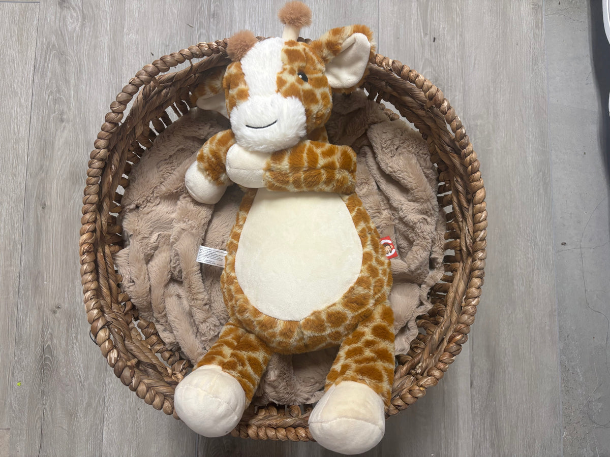 Baby Giraffe