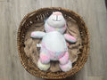 Pastel Bear