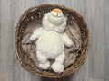 Guardian Bear
