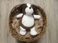 Baby Border Collie