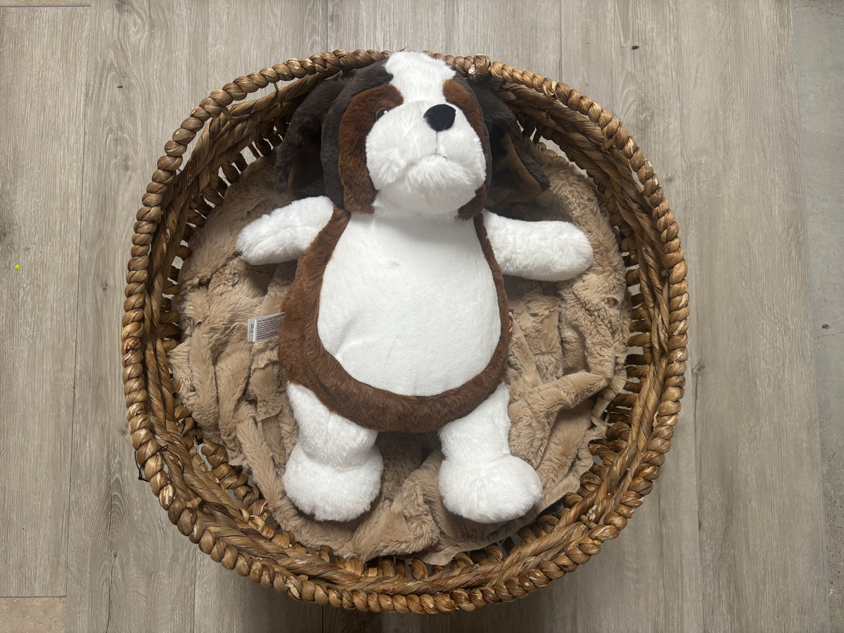 Baby Border Collie