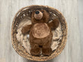 Grizzley Bear